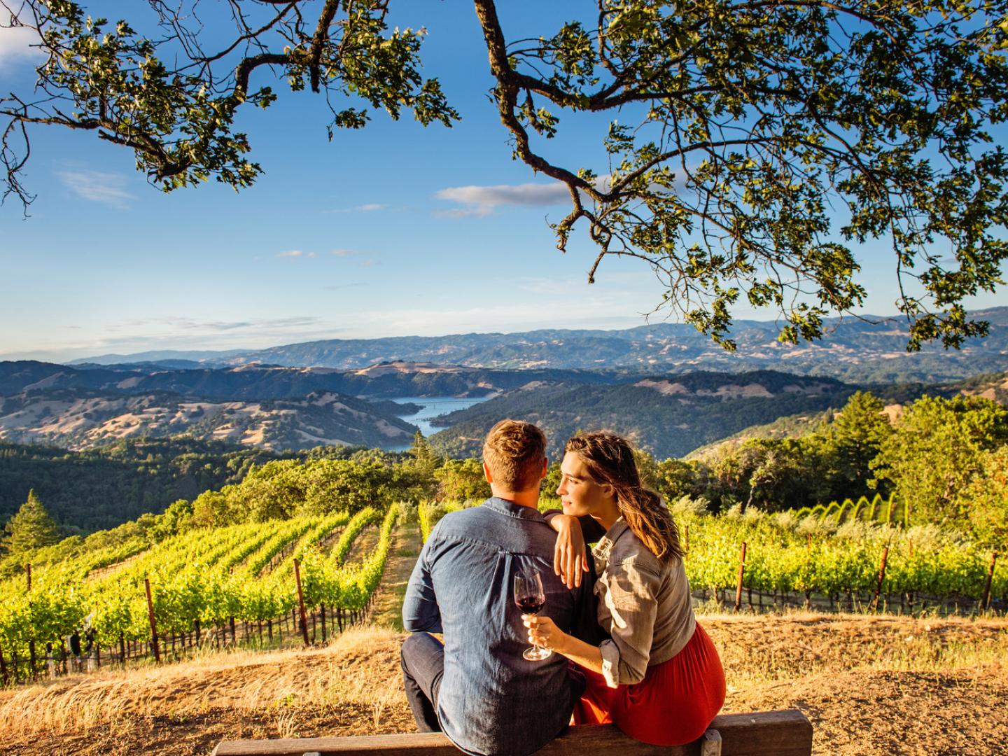 Couple taking in the view while sipping wine at Dry Creek Vineyard in Sonoma County, California Couple taking in the view while sipping wine at Dry Creek Vineyard in Sonoma County, California