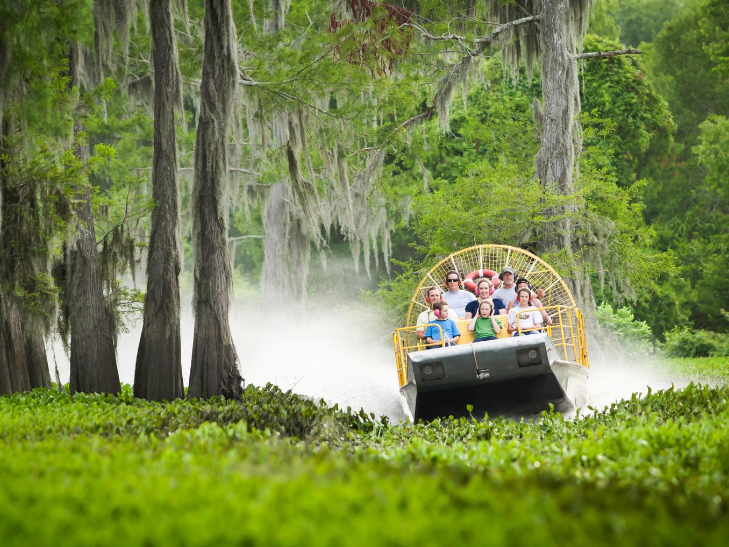 Enjoying an airboat tour of the Atchafalaya Basin in Louisiana Enjoying an airboat tour of the Atchafalaya Basin in Louisiana