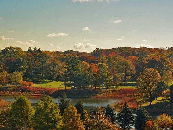 Fall color lights up Round Meadow Lake Fall color lights up Round Meadow Lake