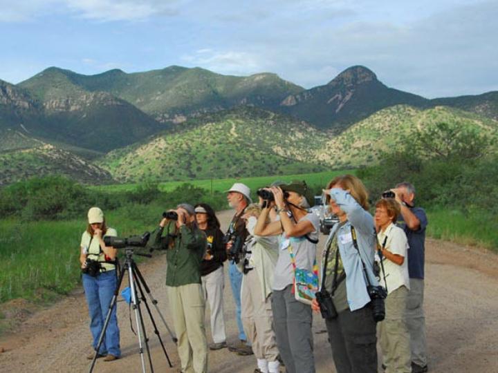 Recorre la escena durante el Southeast Arizona Birding Festival en Tucson Recorre la escena durante el Southeast Arizona Birding Festival en Tucson
