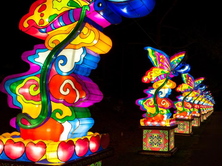 Colorful lanterns all in a row at the Chinese Lantern Festival Colorful lanterns all in a row at the Chinese Lantern Festival