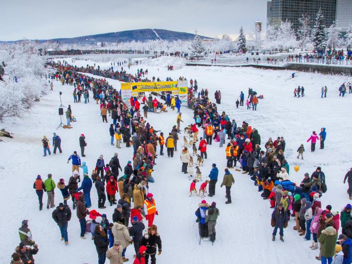 Bustling crowds at the Yukon Quest Dog International Dog Sled Race Bustling crowds at the Yukon Quest Dog International Dog Sled Race