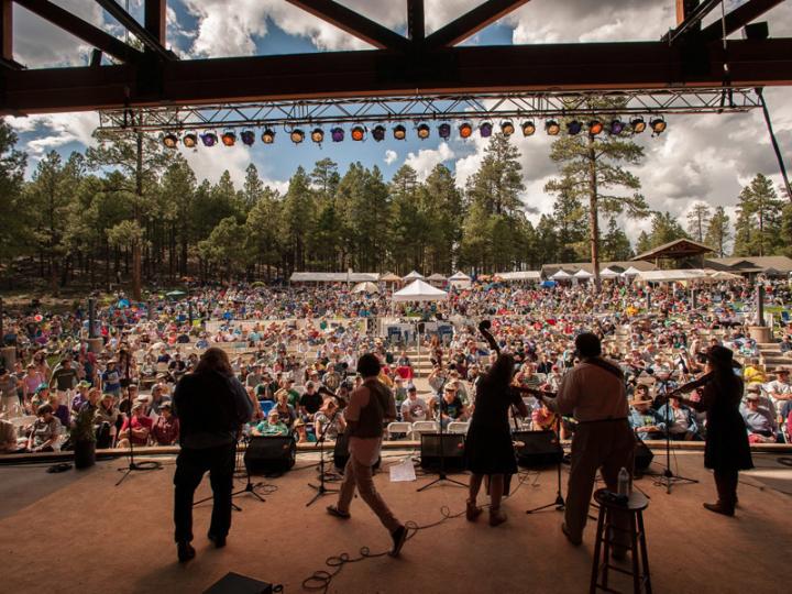 Just a little Pickin in the Pines Just a little Pickin in the Pines