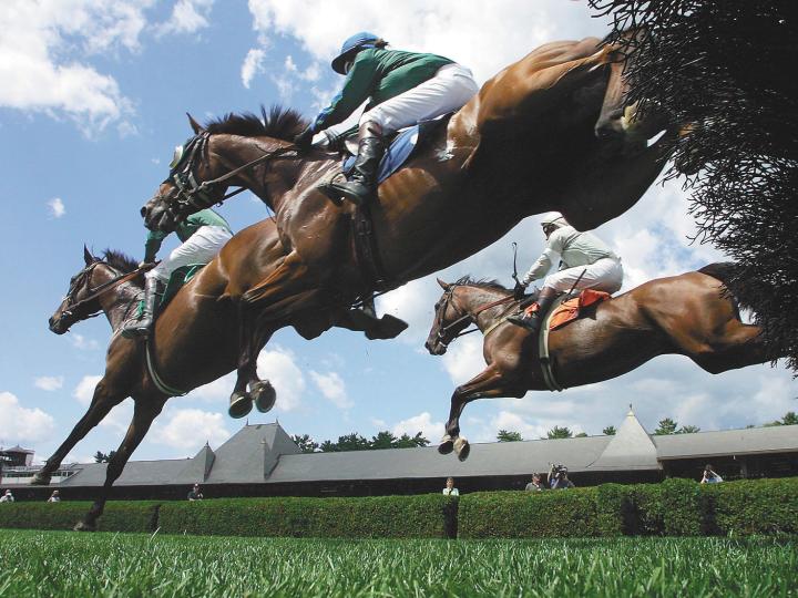 An exciting scene from the Saratoga Race Course Meet An exciting scene from the Saratoga Race Course Meet