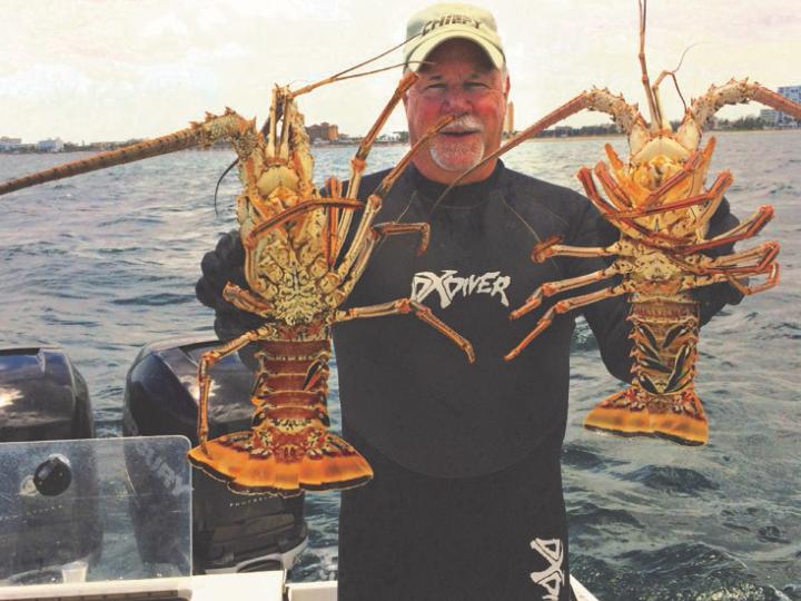 Lagosta pega durante o BugFest anual em Lauderdale-by-the-Sea Lagosta pega durante o BugFest anual em Lauderdale-by-the-Sea