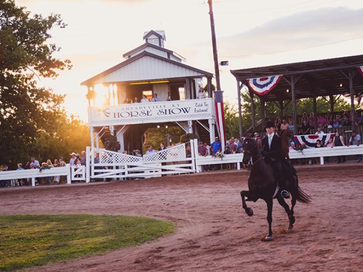 Horse and rider competing in the Shelbyville Horse Show in Shelbyville, Kentucky Horse and rider competing in the Shelbyville Horse Show in Shelbyville, Kentucky