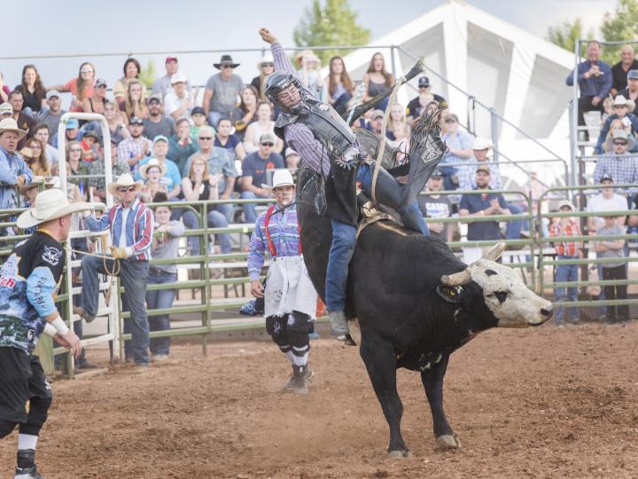 Rodeo competition during Jubilee Days in Laramie, Wyoming Rodeo competition during Jubilee Days in Laramie, Wyoming