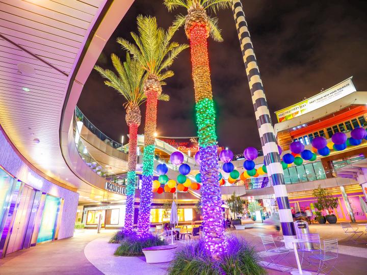 Palm trees decorated with rainbow-hued lights for Santa Monica Pride Palm trees decorated with rainbow-hued lights for Santa Monica Pride