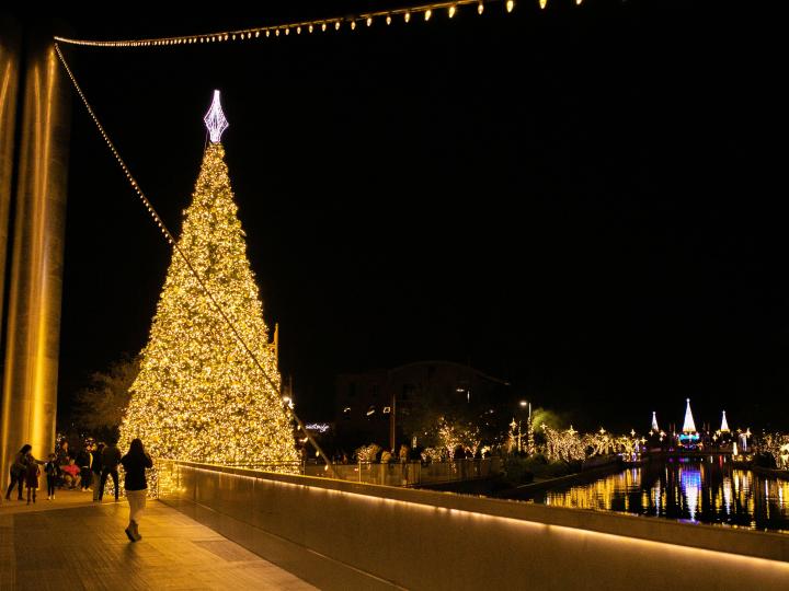 Tree lighting during Scottsdazzle Holiday Extravaganza in Scottsdale, Arizona Tree lighting during Scottsdazzle Holiday Extravaganza in Scottsdale, Arizona