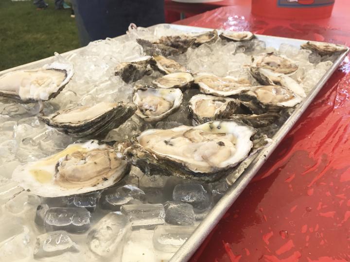 Ostras na concha servidas em Fort Pierce, Flórida Ostras na concha servidas em Fort Pierce, Flórida