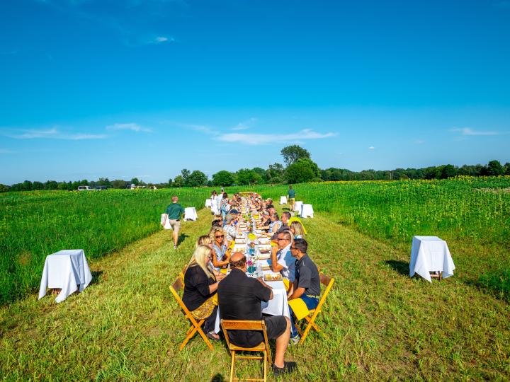 Dining in a flower field during the Frankenmuth Flower Festival in Frankenmuth, Michigan Dining in a flower field during the Frankenmuth Flower Festival in Frankenmuth, Michigan