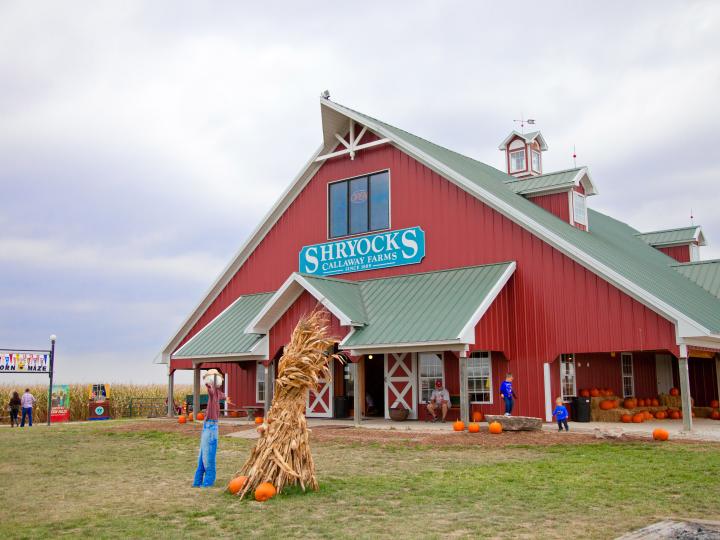 Autumn festivities await at Shryock’s Corn Maze at Calloway Farms in Fulton, Missouri