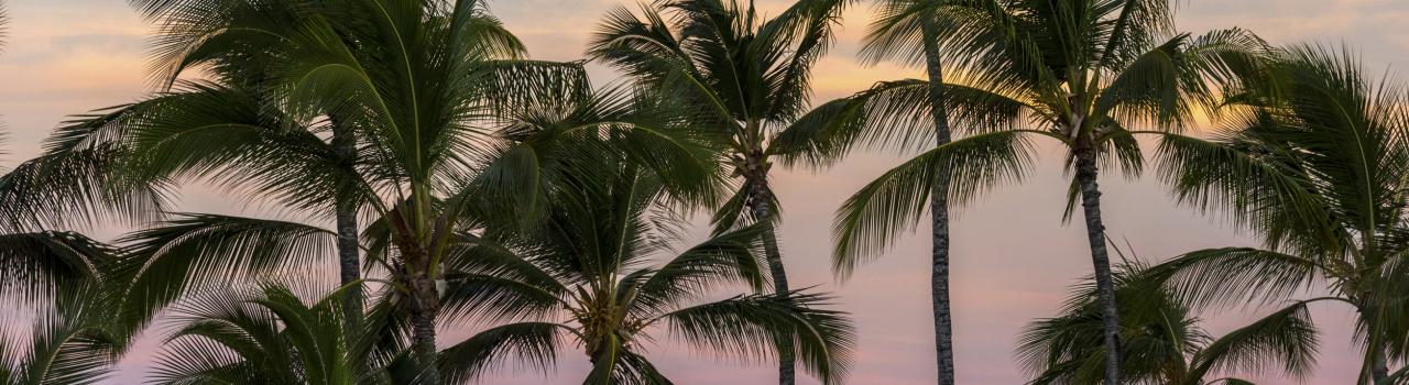 The sun rises over a Pacific Ocean shoreline in the Hawaiian islands The sun rises over a Pacific Ocean shoreline in the Hawaiian islands
