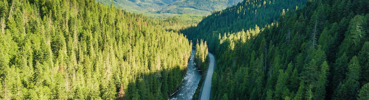 Driving through DeVoto Memorial Cedar Grove in Idaho Driving through DeVoto Memorial Cedar Grove in Idaho