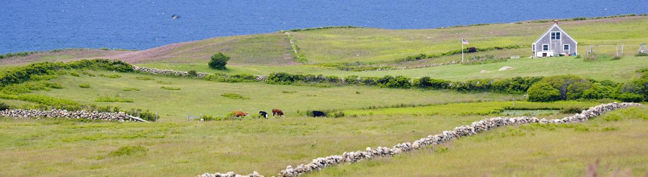 Farmlands leading to the coast on Block Island, Rhode Island Farmlands leading to the coast on Block Island, Rhode Island