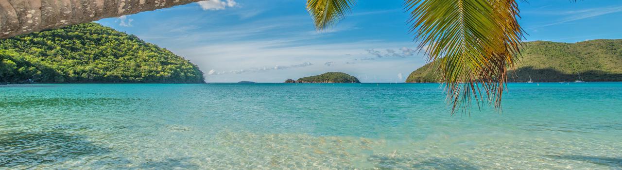 View of palm trees and clear waters in St. John, U.S. Virgin Islands View of palm trees and clear waters in St. John, U.S. Virgin Islands