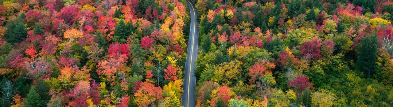 Driving through a rainbow of fall colors in the White Mountains of New Hampshire Driving through a rainbow of fall colors in the White Mountains of New Hampshire