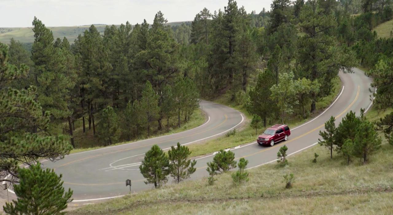 Route sinueuse entre collines et forêts dans le Custer State Park à Custer, Dakota du Sud Route sinueuse entre collines et forêts dans le Custer State Park à Custer, Dakota du Sud