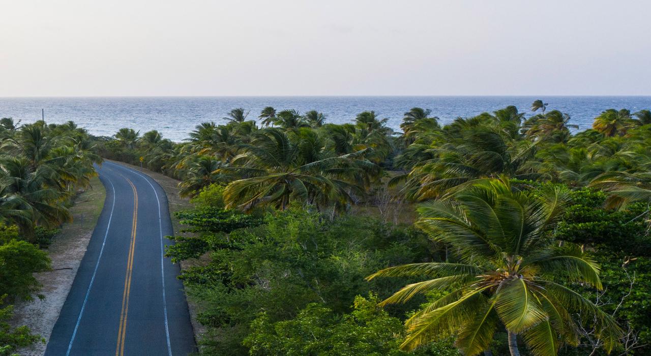 A scenic road near Isabela, Puerto Rico A scenic road near Isabela, Puerto Rico