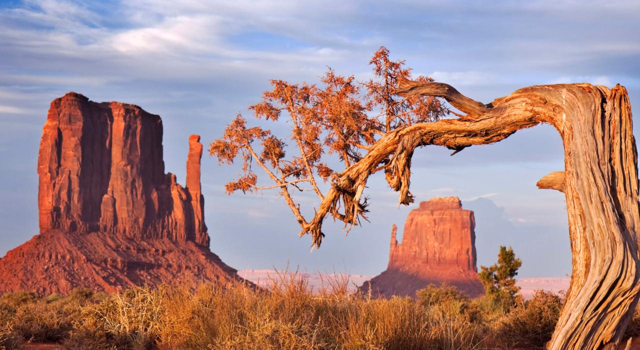 Desert plants surrounding the towering formations of Monument Valley in Utah Desert plants surrounding the towering formations of Monument Valley in Utah