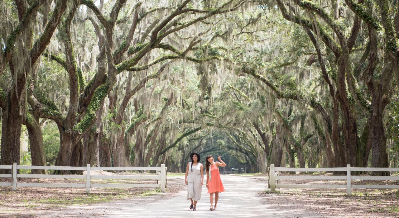 Strolling the oak-lined pathway at Wormsloe State Historic Site in Savannah, Georgia Strolling the oak-lined pathway at Wormsloe State Historic Site in Savannah, Georgia