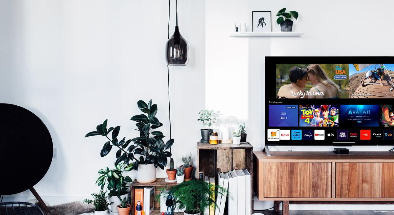 Living room with television showing GoUSA TV Living room with television showing GoUSA TV