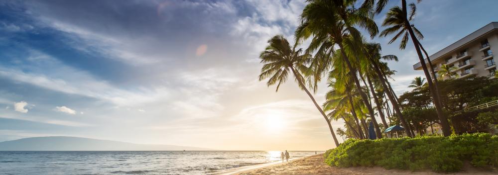 Palm trees on Kaanapali Beach in Maui, Hawaii