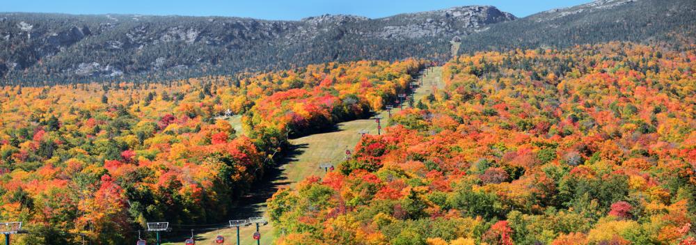 Autumnal colors frame a gondola on Mount Mansfield in Stowe, Vermont