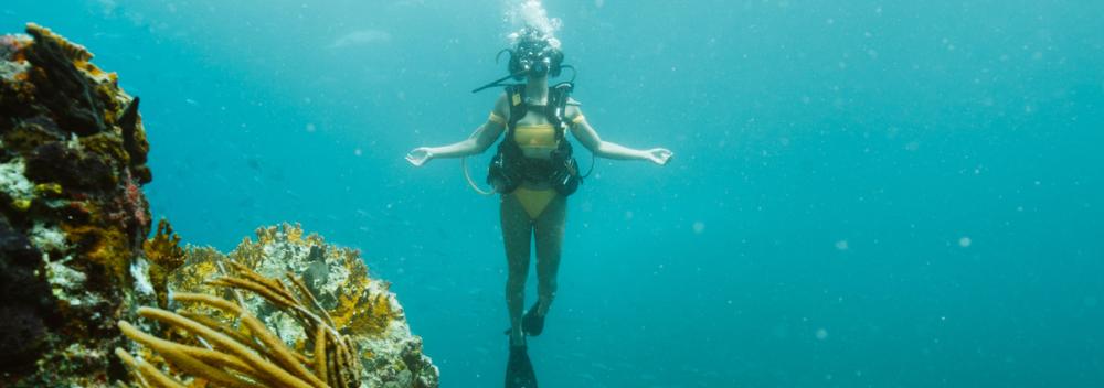 Plongée au large des côtes de Saint-John, dans les îles Vierges des États-Unis