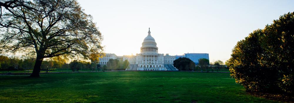 The Capitol building in Washington, D.C.