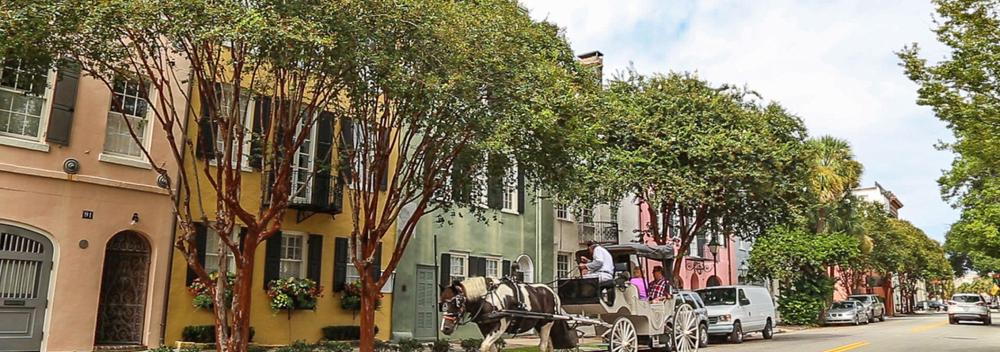 Horse-drawn carriage rides in Charleston, South Carolina