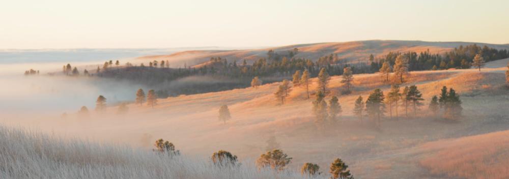 Fog over the rolling hills of South Dakota
