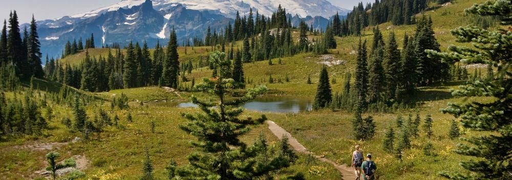 Hiking at the base of Mount Rainier in Washington State