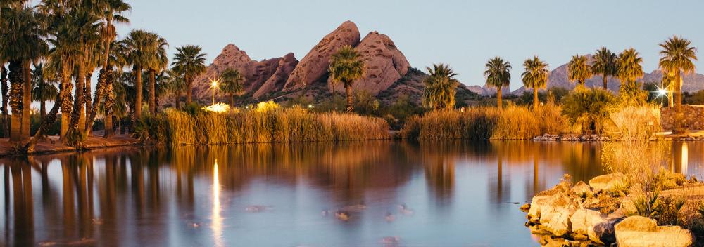 Desert views in Phoenix, Arizona