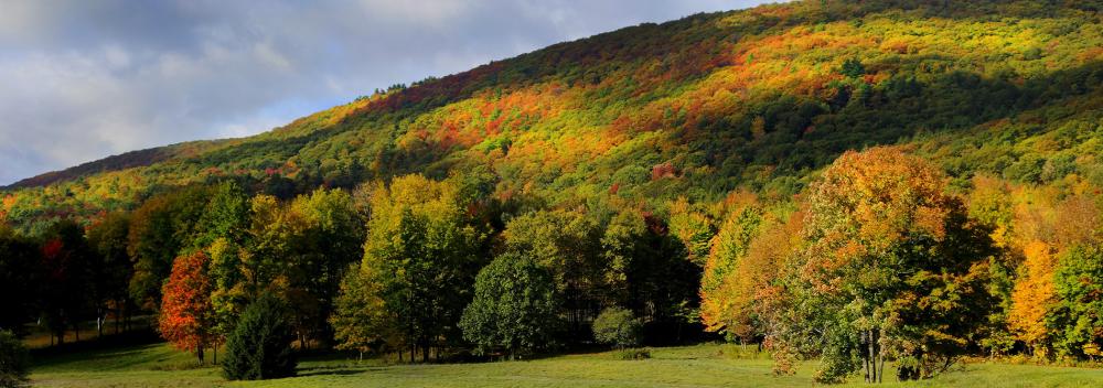 Fall foliage in Central Massachusetts