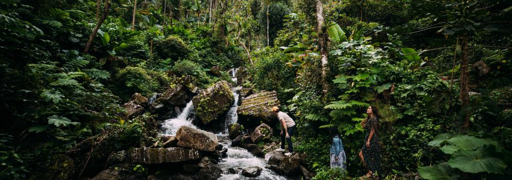Exploring a waterfall in El Yunque National Forest in Puerto Rico