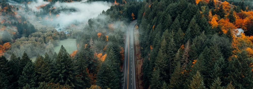 Driving through the forest in Banks, Oregon, near Portland