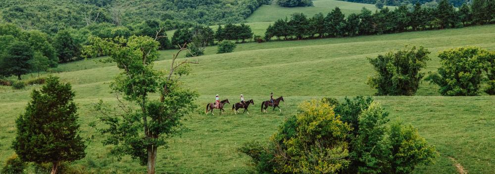 Horseback riding through the countryside of Harrodsburg, Kentucky